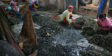 Limpiando mejillones, Jakarta