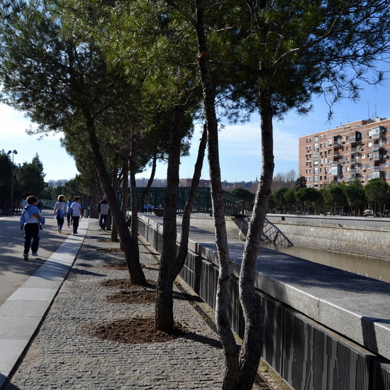 DÍA DE LA PAZ 2018_3 3