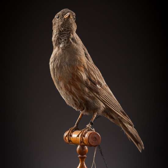 IES_CERVANTES_BIOLOGIA_037