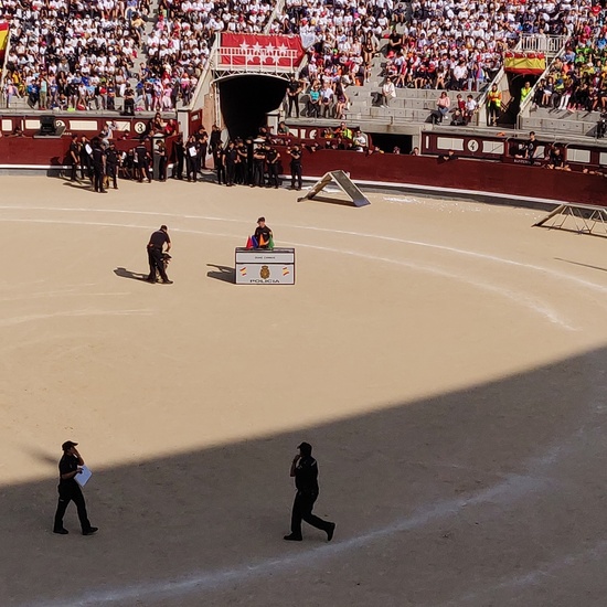 Las Ventas 2019 23