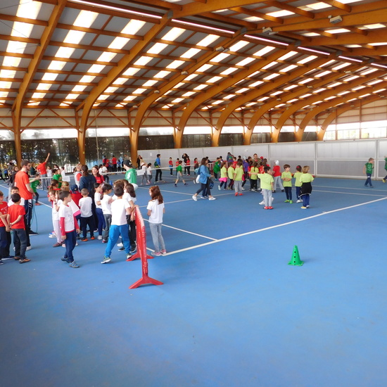 olimpiadas 3º primaria 13