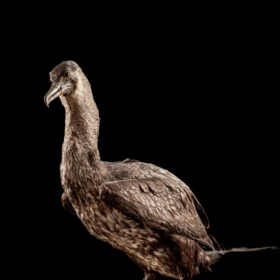 IES_SANISIDRO_BIOLOGIA_035