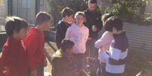 2019_02_08_Cuarto B visita el huerto_CEIP FDLR_Las Rozas 4