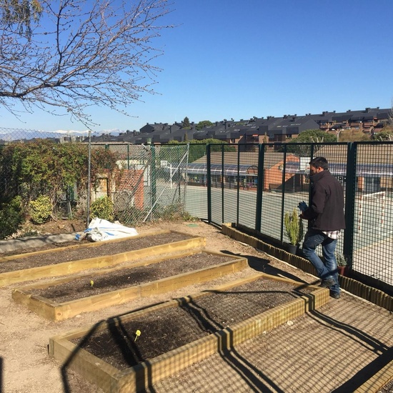 Quinto de Primaria_Taller de Huerto Escolar_CEIP Fernando de los Ríos_Las Rozas 6