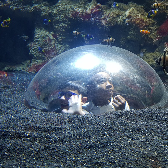 Aquarium Xanadú II 3ºB  10