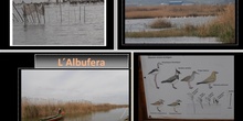 albufera 2013