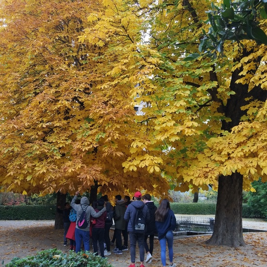 Fotos visita Museo CCNN y Botánico 6