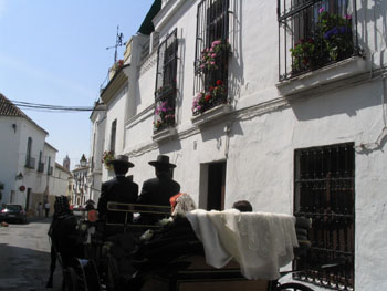 Coche de caballos por el barrio de Santa Marina, Córdoba, Andalu