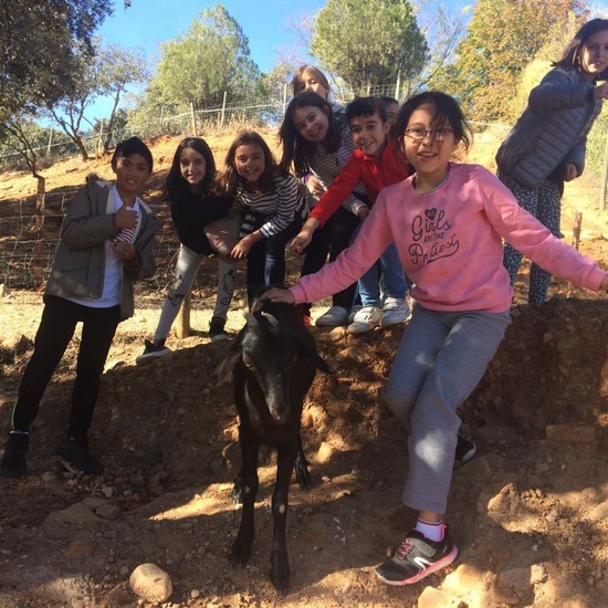 Mohernando 2017_3 31