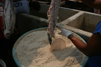 Secado en el suelo, Jakarta