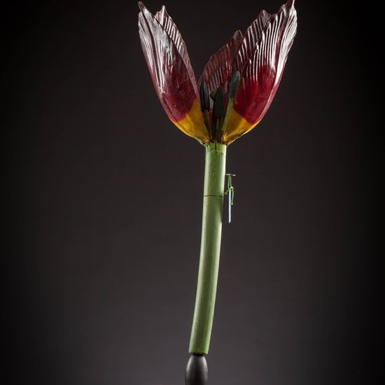 IES_CARDENALCISNEROS_BOTÁNICA_III_MODELOS_028