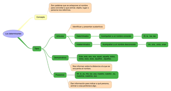 LENGUA_LOS DETERMINANTES_5