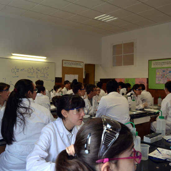 Proyecto de Aprendizaje y Servicio 43