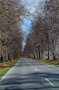 Paseo de la reina, Aranjuez, Comunidad de Madrid