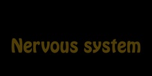 Nervous System