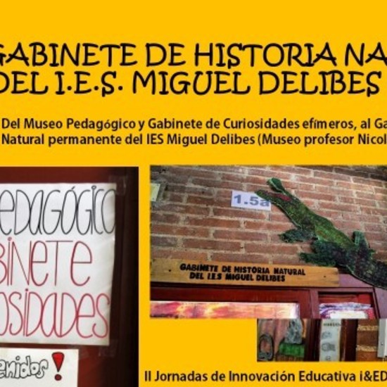 Gabinete de Historia Natural IES Miguel Delibes