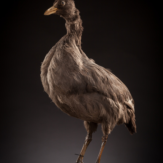 IES_CERVANTES_BIOLOGIA_026