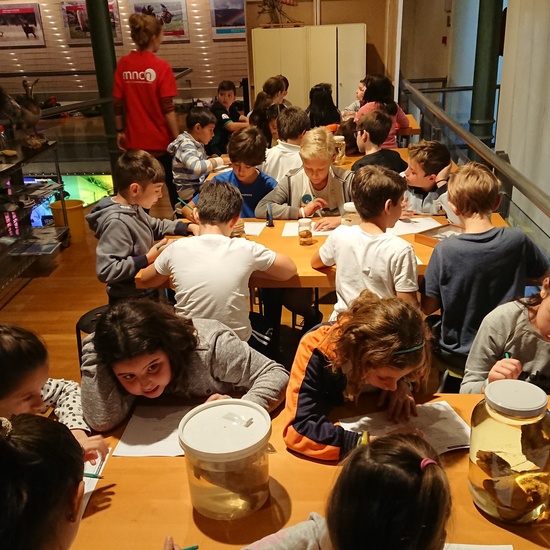 Excursión al museo de ciencias 13