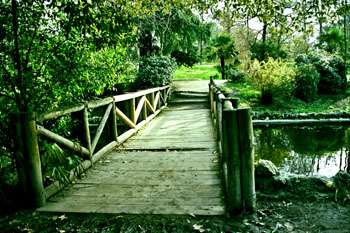 Puente de madera