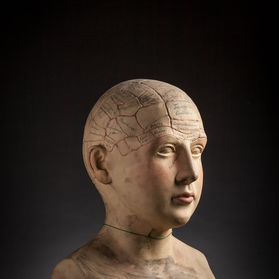 IES_CARDENALCISNEROS_ANATOMIA_MODELOS_084