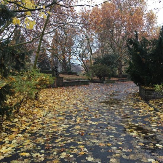  Jorge Mladenov 1AESO concurso fotografía Satafi foto 2