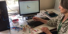 Pájaros makey makey