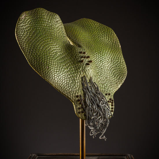 IES_SANISIDRO_BIOLOGIA_228