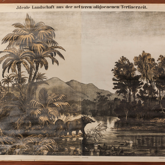 IES_SANISIDRO_LAMINAS_037