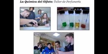 16 Taller La Química de los sentidos