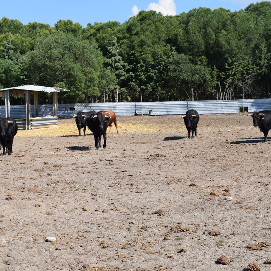 Salida en bici 4º de Primaria 17