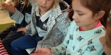2018_03_16_Tercero visita el Insect Park_CEIP FDLR_Las Rozas 5