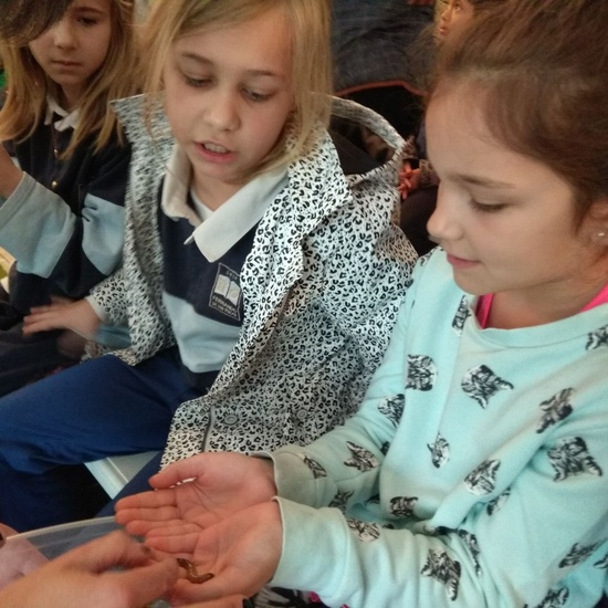 2018_03_16_Tercero visita el Insect Park_CEIP FDLR_Las Rozas 5