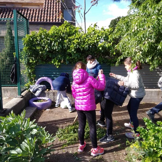 2019_05_06_Quinto en el huerto en mayo_CEIP FDLR_Las Rozas 7