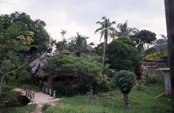 Cabañas en Livingston, Guatemala