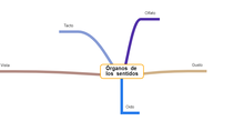 Mapa Mental Sentidos