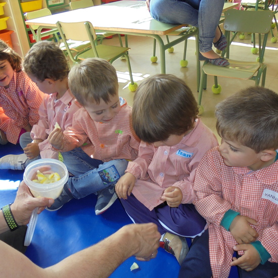 Sesión de los sentidos 37