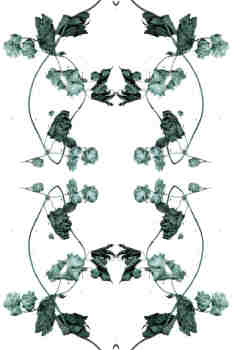 Simetría de la rama de lúpulo en verdes grisáceos