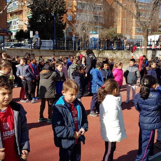 Árbol de la convivencia 2 8