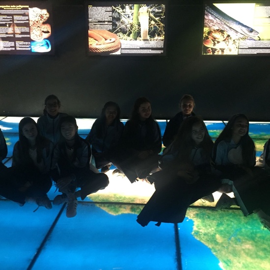 Faunia: taller y visita guiada 8