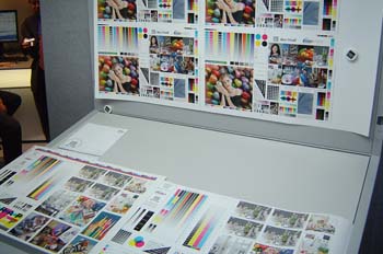 Luz normalizada en el puesto de control