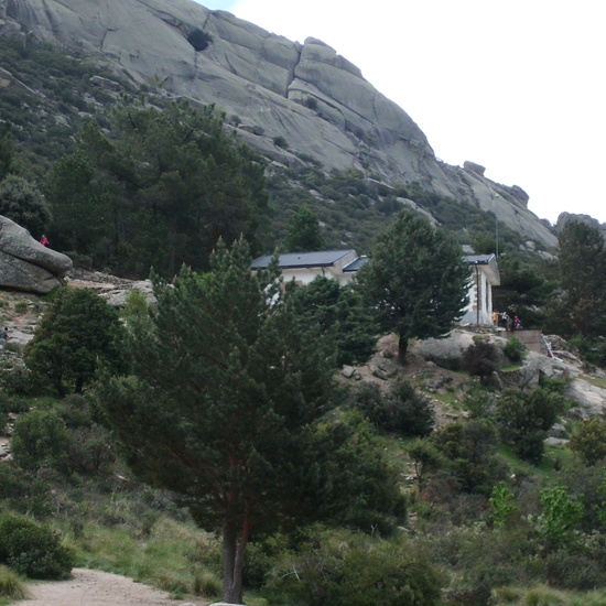 NIÑAS/OS DE 5º . NATURALEZA VIVA EN LA PEDRIZA.HOSTOS POR EL PLANETA 7