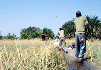 Travesía en Mokoros, Botswana