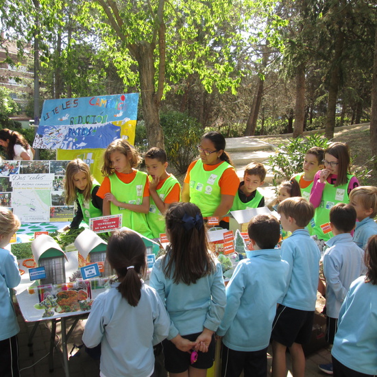 2019_06_06_Entrega bandera verde ecoescuelas_3_CEIP FDLR_Las Rozas 5