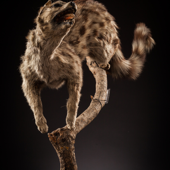 IES_CERVANTES_BIOLOGIA_065