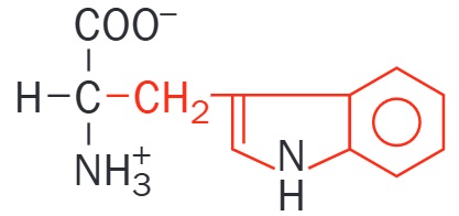 Triptófano