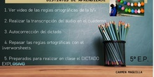 INSTRUCCIONES TAREA 5
