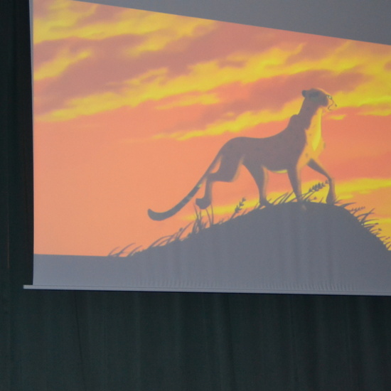 Día de los abuelos 2019 16