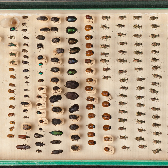 IES_SANISIDRO_MUSEO_012