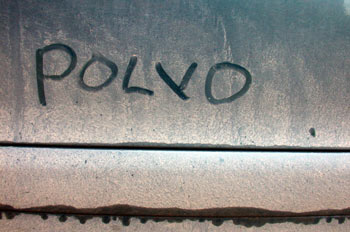 Polvo
