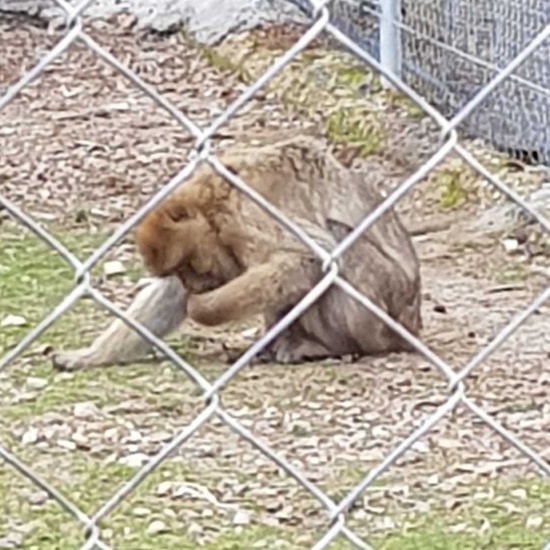 2020-01-15 visita rainfer 5